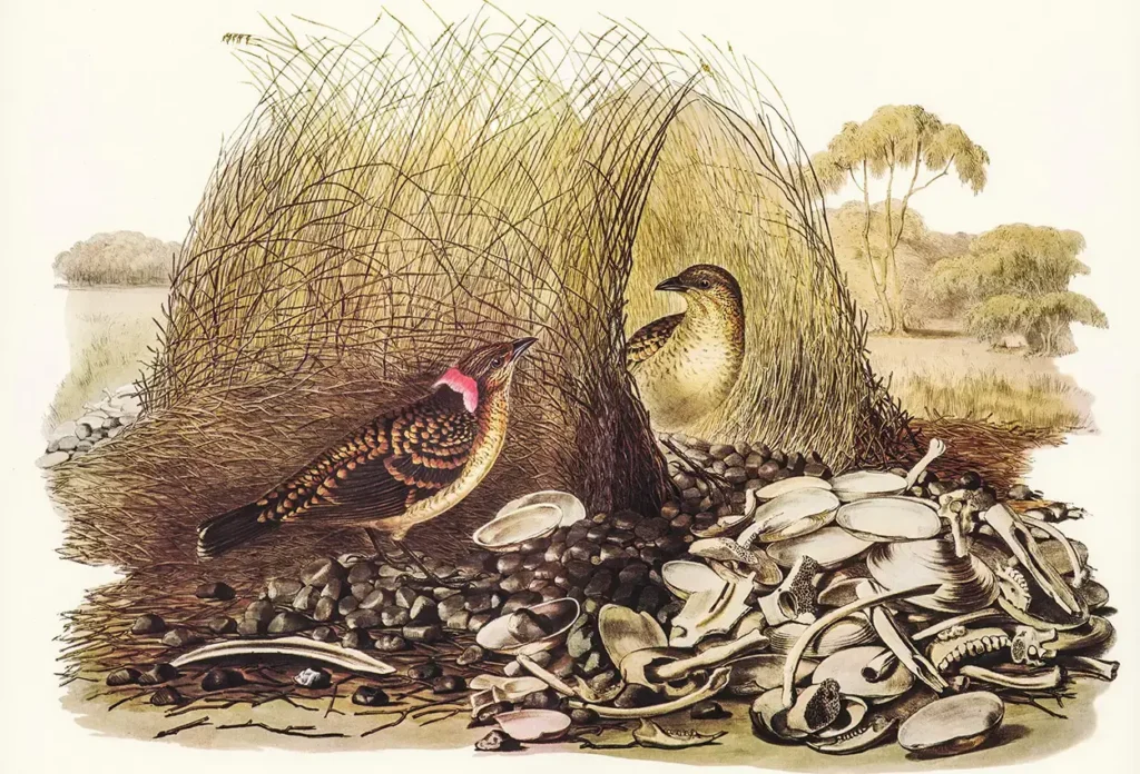 penpress-lite-image-6